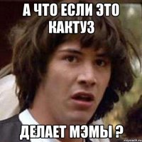 а что если это кактуз делает мэмы ?