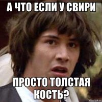 а что если у свири просто толстая кость?