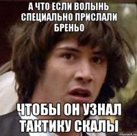 а что если волынь специально прислали бреньо чтобы он узнал тактику скалы