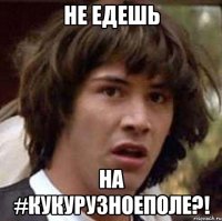 не едешь на #кукурузноеполе?!