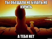 ты обещала не бухать,не курить а тебя нет