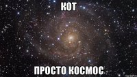 кот просто космос