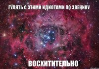 гулять с этими идиотами по Звенику ВОСХИТИТЕЛЬНО