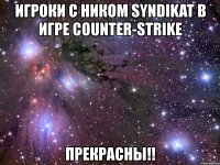 игроки с ником syndikat в игре counter-strike прекрасны!!