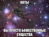 коты вы просто божественные существа