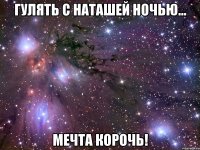 гулять с наташей ночью... мечта корочь!