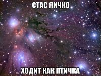 стас яичко ходит как птичка