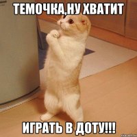 темочка,ну хватит играть в доту!!!