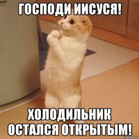 господи иисуся! холодильник остался открытым!