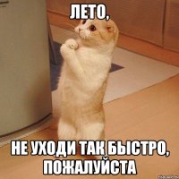 лето, не уходи так быстро, пожалуйста