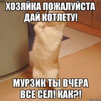 хозяйка пожалуйста дай котлету! мурзик ты вчера все сел! как?!