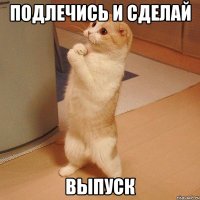 подлечись и сделай выпуск