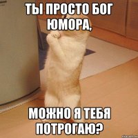 ты просто бог юмора, можно я тебя потрогаю?