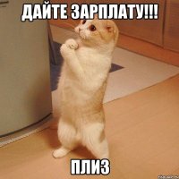 дайте зарплату!!! плиз