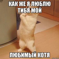 как же я люблю тибя мой любимый котя