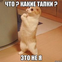 что ? какие тапки ? это не я