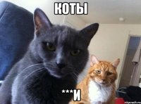 коты ***и