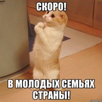 скоро! в молодых семьях страны!