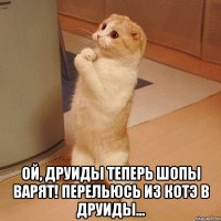  ой, друиды теперь шопы варят! перельюсь из котэ в друиды...