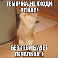 темочка, не уходи от нас! без тебя будет печалька :(