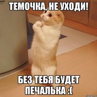 темочка, не уходи! без тебя будет печалька :(