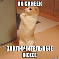 ну санеек заключительные жееее