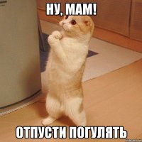 ну, мам! отпусти погулять