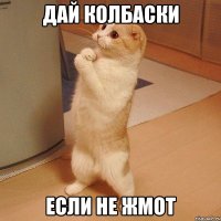 дай колбаски если не жмот