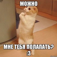 можно мне тебя полапать? :3