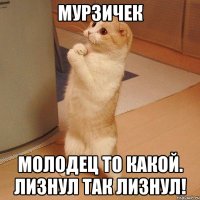 мурзичек молодец то какой. лизнул так лизнул!