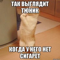 так выглядит тюник когда у него нет сигарет