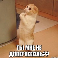  ты мне не доверяееешь??