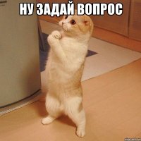 ну задай вопрос 