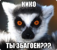 нико ты збагоен???