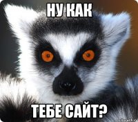 ну как тебе сайт?