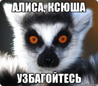 алиса, ксюша узбагойтесь