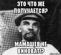 это что же получается? мамашев не виноват!?