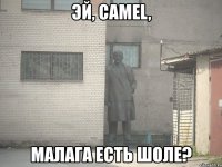 эй, camel, малага есть шоле?