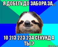 я добегу до забора за... 10 213 223 234 секунд а ты ?