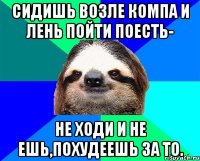 сидишь возле компа и лень пойти поесть- не ходи и не ешь,похудеешь за то.