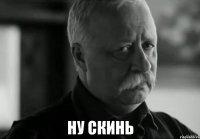  ну скинь