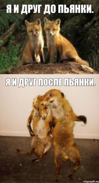 Я и друг до пьянки. Я и друг после пьянки.