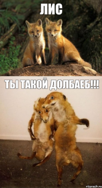 Лис Ты такой долбаеб!!!