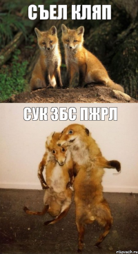 Съел кляп сук збс пжрл