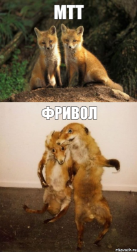 МТТ Фривол