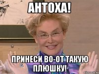 антоха! принеси во-от такую плюшку!