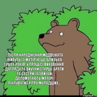 ...після народження медвежата живуть із матір'ю ще близько трьох років, у процесі виховання, догляду та виучки старші брати та сестри зазвичай допомогають матері піклуватися про молодших...