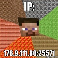 ip: 176.9.111.80:25571