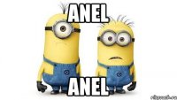 anel anel