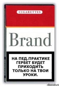 На Пед.Практике Гербет будет приходить только на твои уроки.